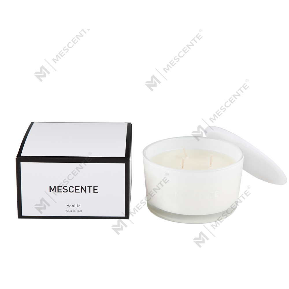 Mescente groothandel private label glazen pot 3 lonten 100% sojawas geurkaars