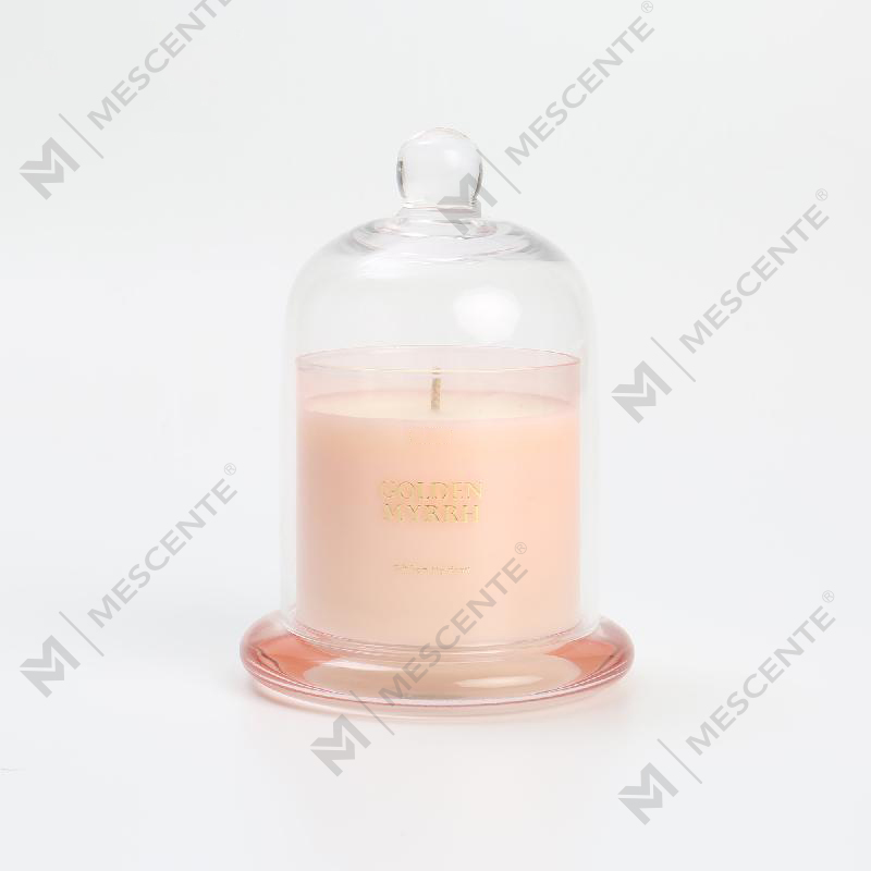 M&Scent Custom Logo Luxe Dozen Wax 100% Natuurlijke Mini Home Kaars Cadeau