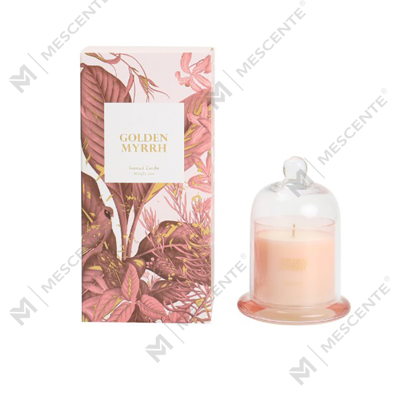 M&Scent Custom Logo Luxe Dozen Wax 100% Natuurlijke Mini Home Kaars Cadeau