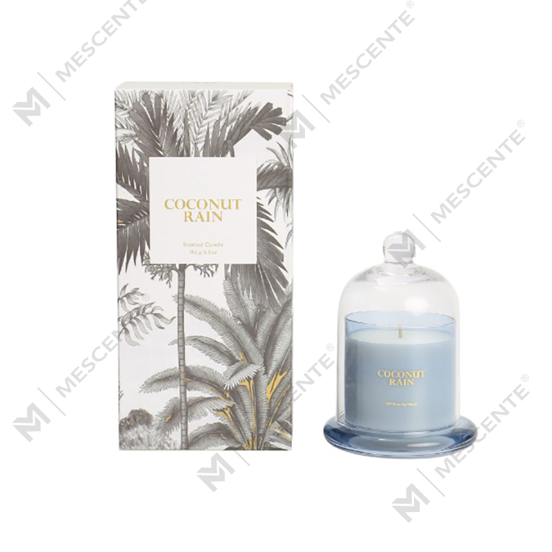 M&Scent Custom Logo Luxe Dozen Wax 100% Natuurlijke Mini Home Kaars Cadeau