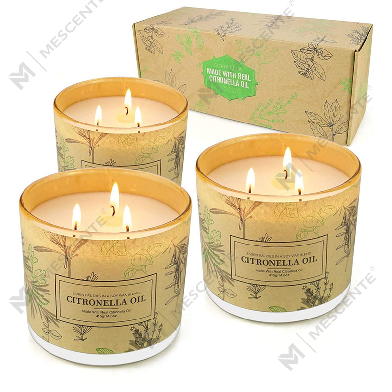 Langdurige 3-lontpotjes met geuraromatherapie Citronella-oliekaarsensets voor thuis, tuin, terras, balkon